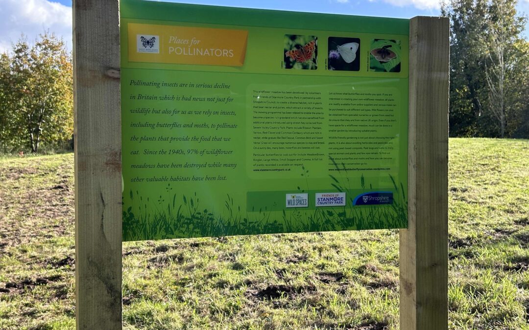 Boost for Pollinators at Stanmore Country Park