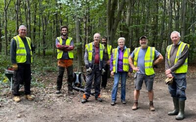 Your Country Park Needs You!
